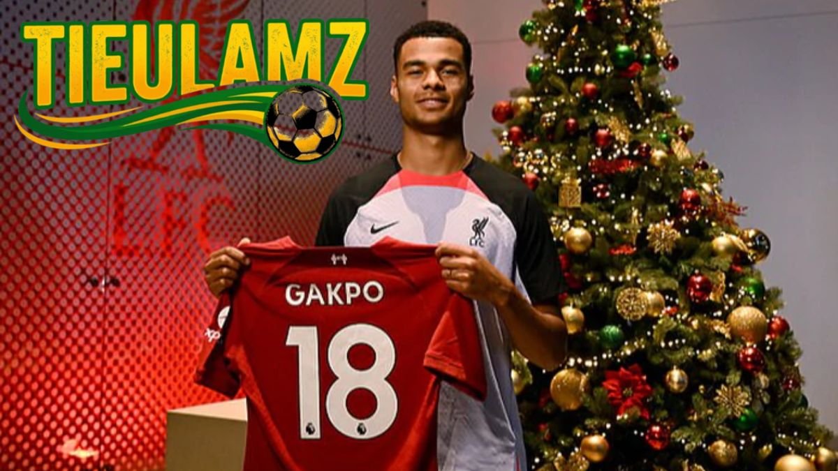 Cody Gakpo trong màu áo Liverpool
